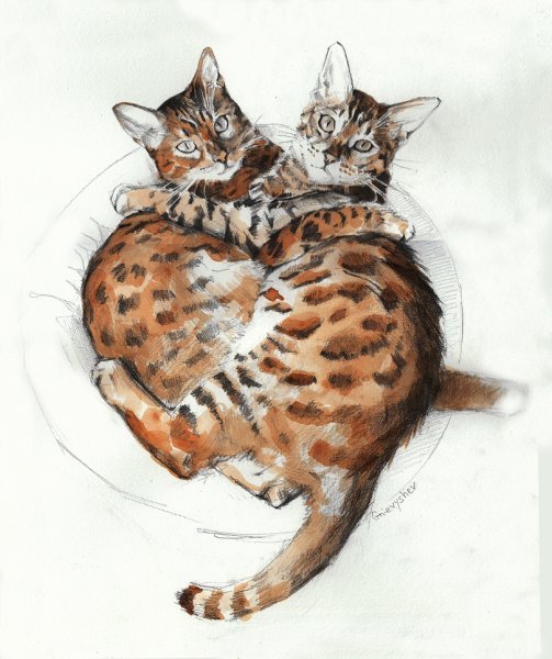 Бенгальская кошка арт