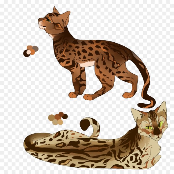 Мультяшные бенгальские кошки