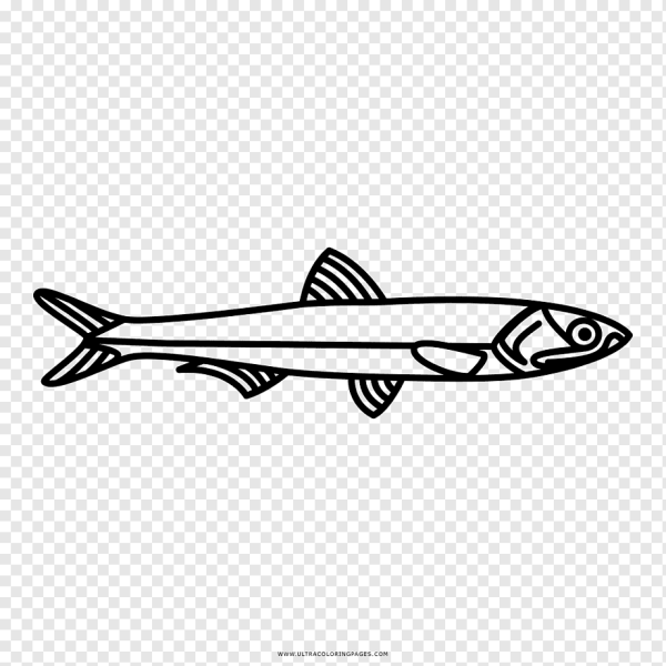 Шпрот Европейский (Sprattus Sprattus)