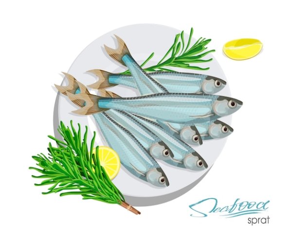 Рыба килька вектор