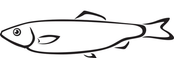 Сельдь раскраска