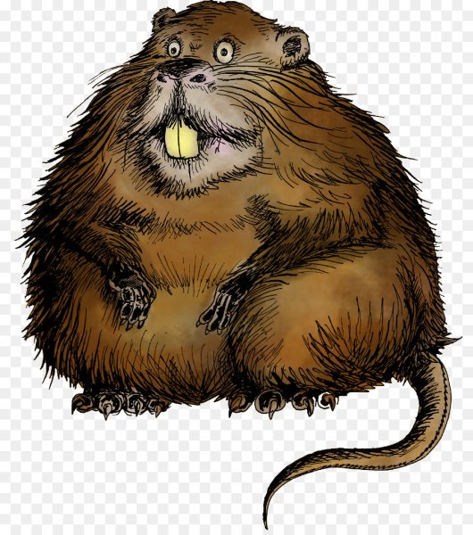 Дети ондатры