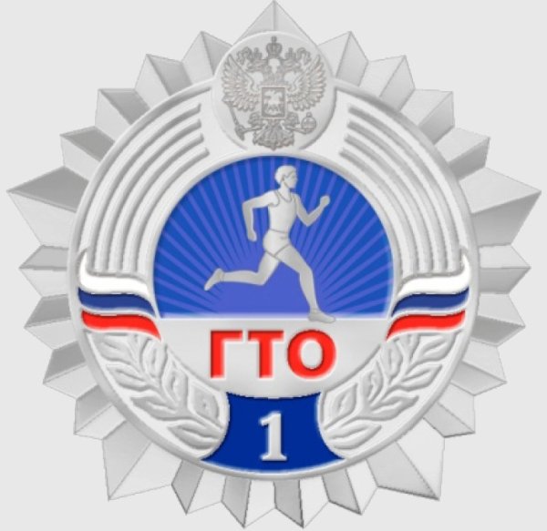 Серебряный знак отличия ГТО 2 ступени