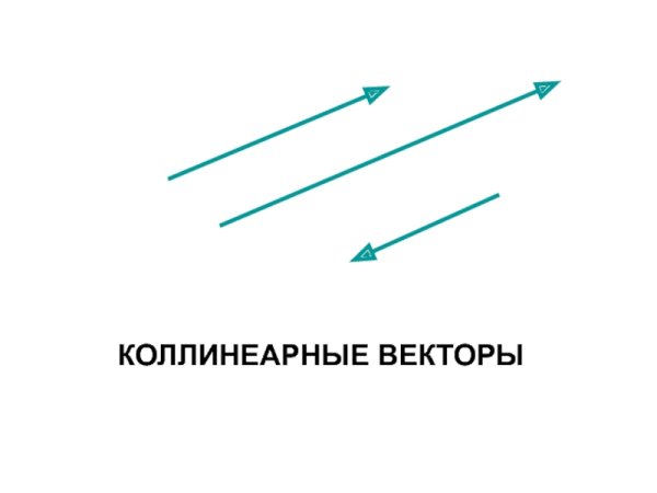Коллинеарные и неколлинеарные векторы