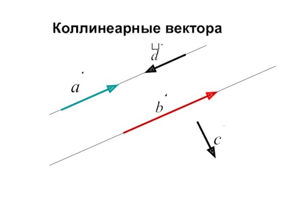 Неколлинеарные векторы рисунок