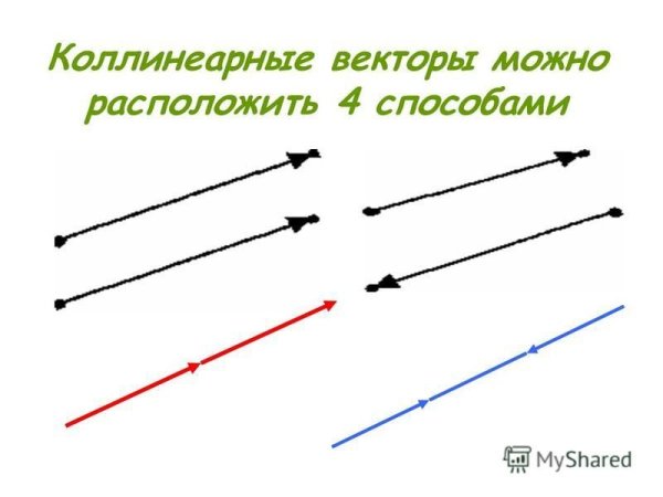 Коллинеарные векторы сонаправленные и противоположно направленные