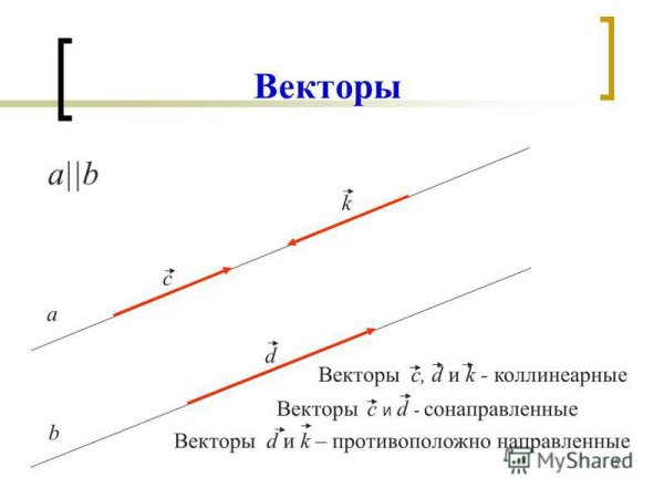 Понятие коллинеарных векторов