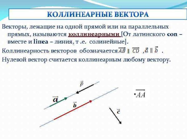 Коллинеарные сонаправленные векторы
