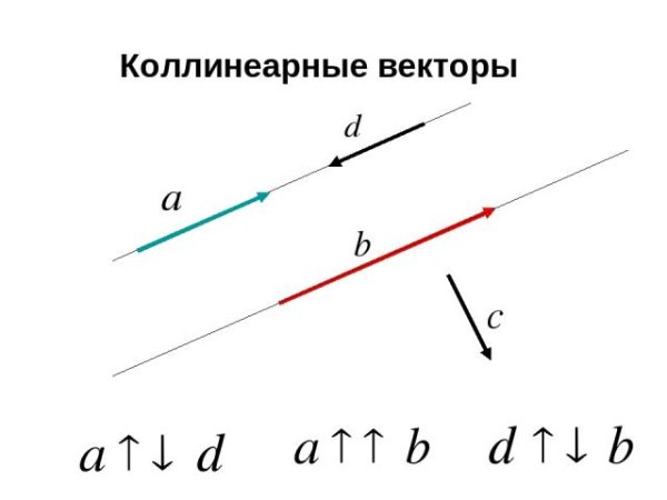 Любые два противоположно направленных вектора коллинеарны