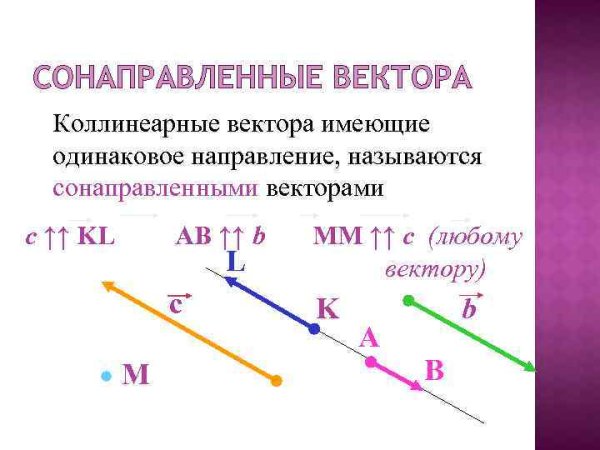 Коллинеарные векторы определение как определить
