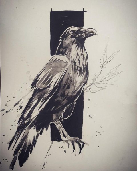 Тату ворон лайнворк