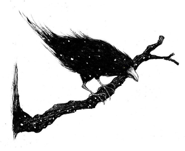 Черный ворон Графика