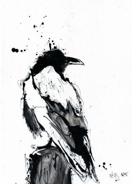 Ворон скетч
