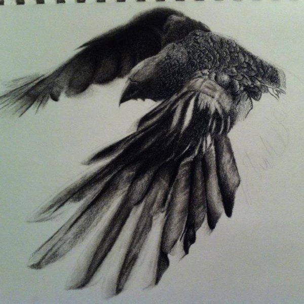 Летящий ворон Графика