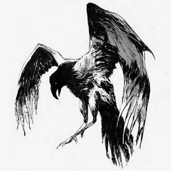 Ворон рисунок