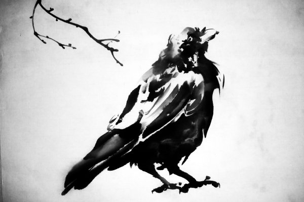 Ворона тушью
