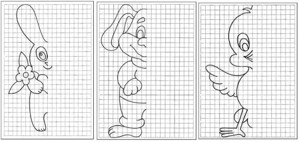 Симметрия для дошкольников