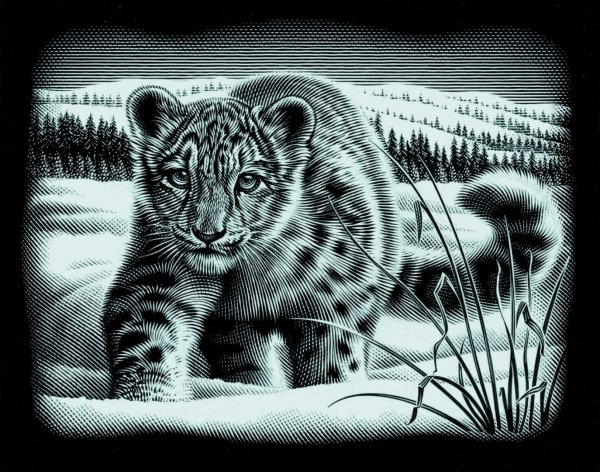 Животные для гравировки