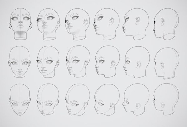 Голова человека ракурсы референс