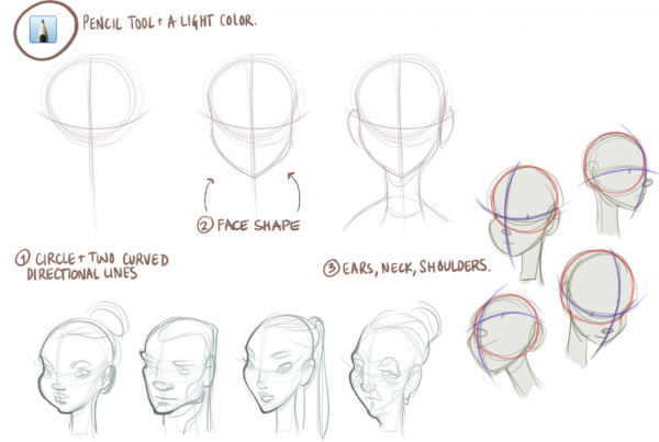 Как рисовать форму лица