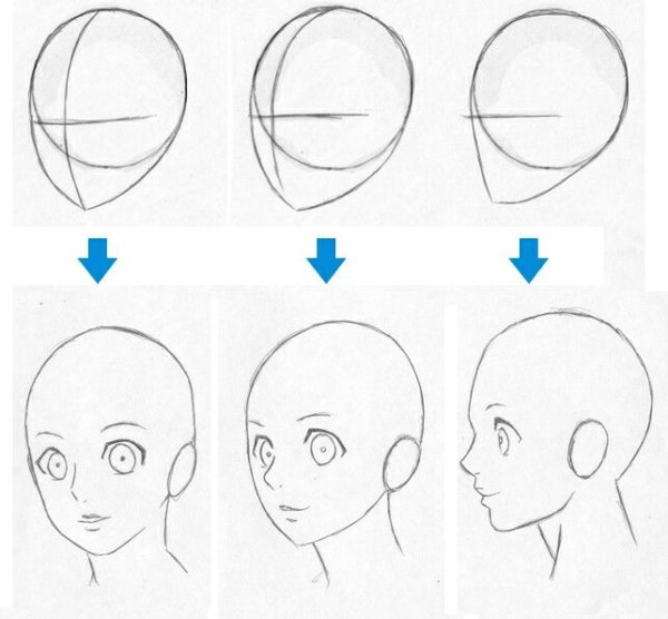 Форма головы аниме