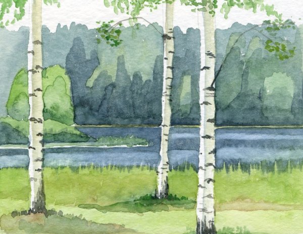 Художник Самарская Елена Михайловна березы