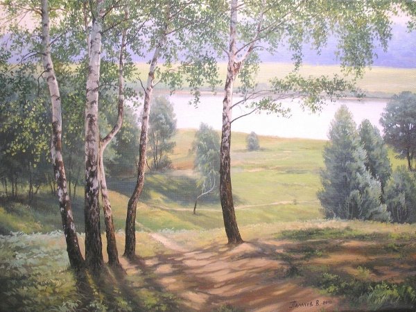 Золотое Руно березы у реки