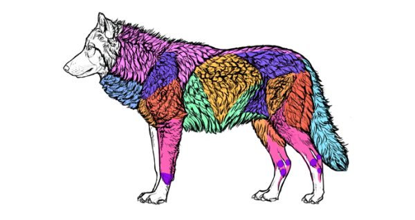 Рост шерсти референс