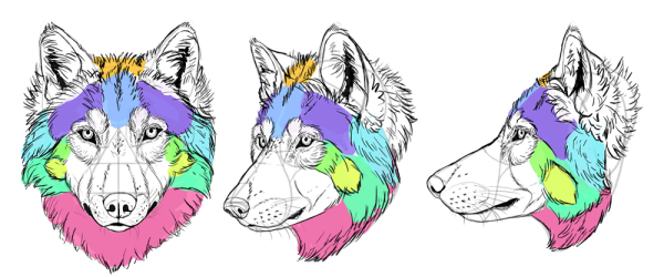 Зарисовать шерсть волка