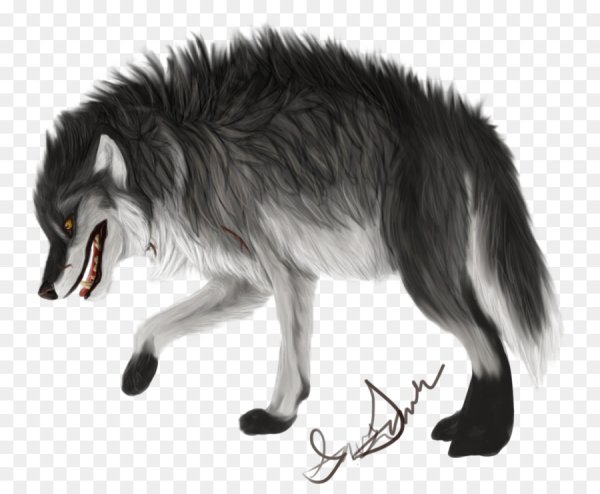 Направление шерсти у Волков