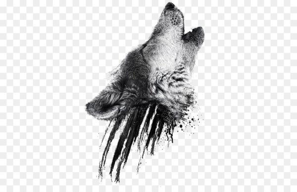 Волк с густой шерстью