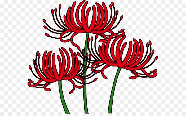 Ликорис стилизация