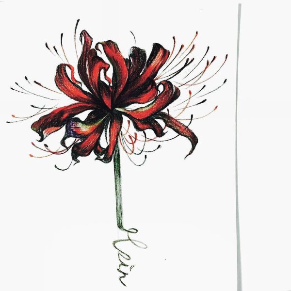 Хиганбана Паучья Лилия тату