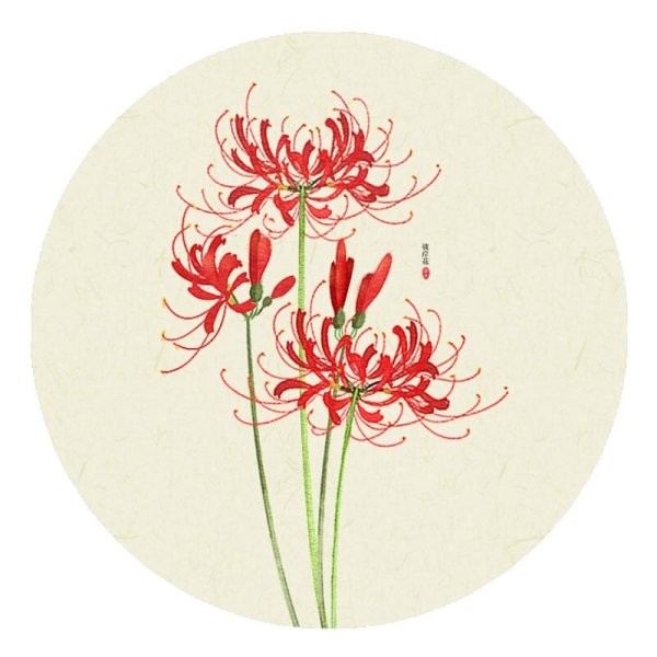 Ликорис Геншин