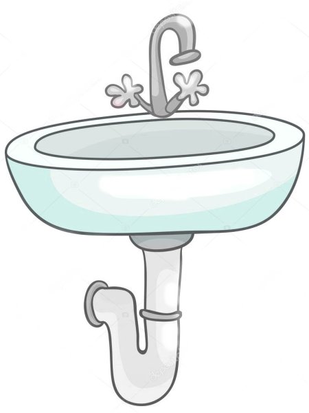 Раковина иллюстрация