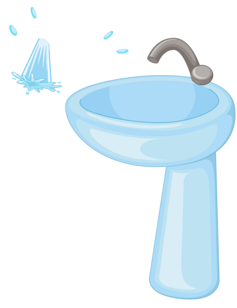 Раковина раскраска