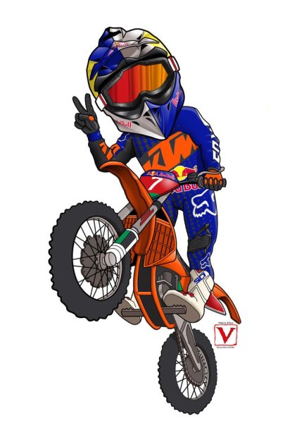 Мотокросс вип КТМ 85