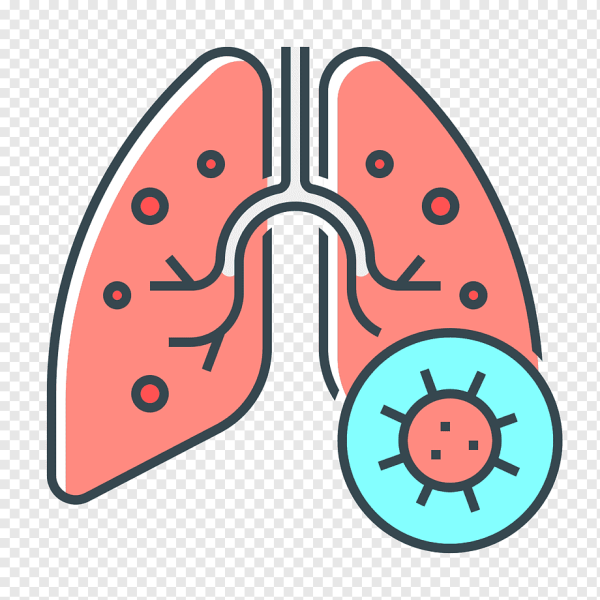 Пиктограмма легких