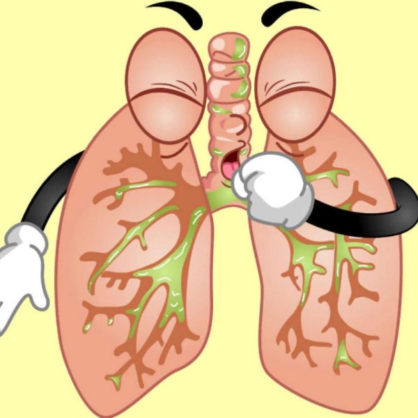 Ежегодно 12 ноября отмечается Всемирный день борьбы с пневмонией