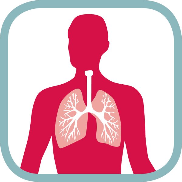 Картинки по пневмонии