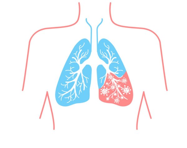 Легкие человека иконка