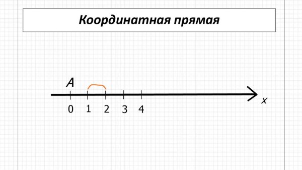 Изображение координатной прямой