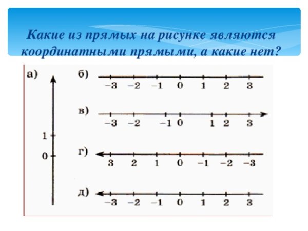 Координатная прямая изображение