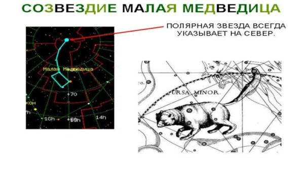 Большая Медведица Созвездие