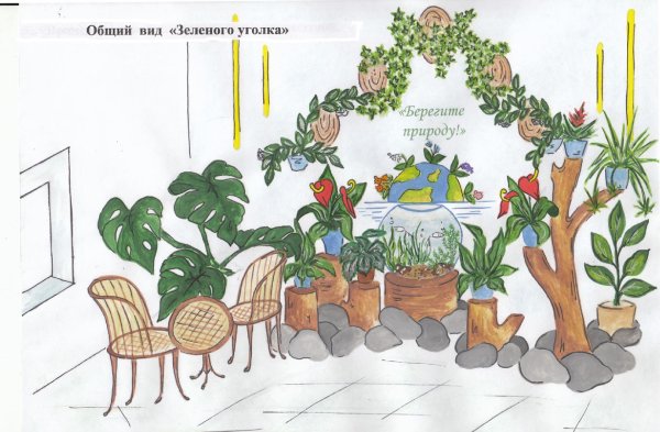 Зеленый уголок в школе рисунок