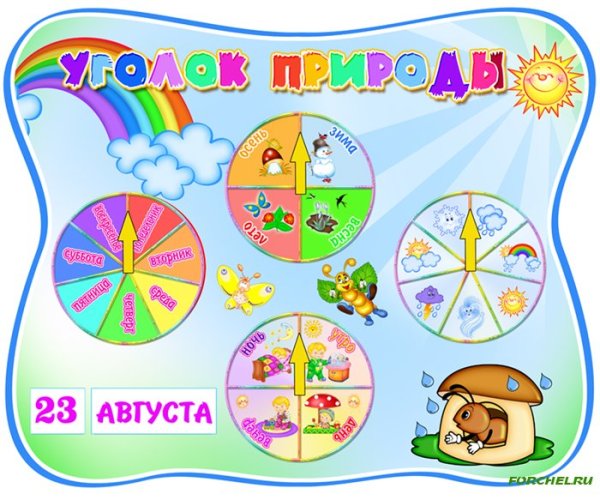 Уголок природы в детском саду