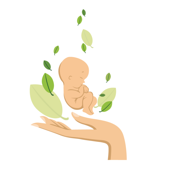 Новорожденный вектор