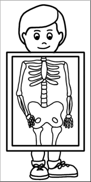 Рентген рисунок для детей