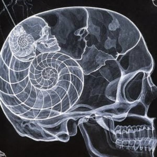 Рентген узор