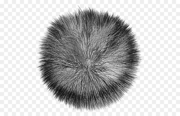 Шерсть без фона